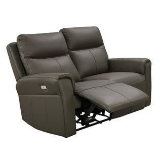 Raivis Genuine Leather Electric Recliner Sofa | 2 Seater | Ash Finish - Sofa In Store