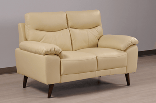 Vantage Genuine Leather Cream 2 Seater Sofa – Modern Design - Sofa In Store